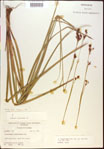 000021162-thumbnail.jpg