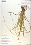 000021163-thumbnail.jpg