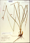 000021164-thumbnail.jpg