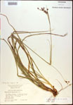 000021165-thumbnail.jpg