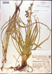 000021166-thumbnail.jpg