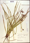 000021167-thumbnail.jpg