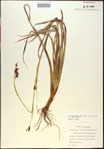 000021168-thumbnail.jpg