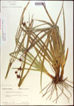 000021169-thumbnail.jpg