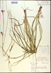 000021170-thumbnail.jpg