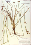 000021171-thumbnail.jpg
