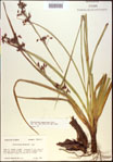 000021172-thumbnail.jpg