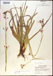 000021173-thumbnail.jpg