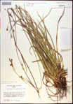 000021174-thumbnail.jpg
