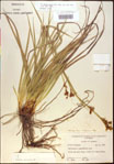 000021175-thumbnail.jpg