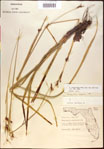 000021176-thumbnail.jpg