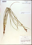 000021177-thumbnail.jpg