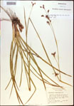 000021178-thumbnail.jpg