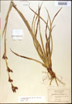 000021179-thumbnail.jpg