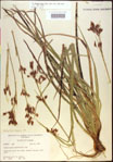 000021180-thumbnail.jpg