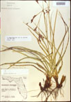 000021181-thumbnail.jpg