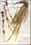 000021182-thumbnail.jpg