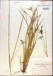 000021183-thumbnail.jpg