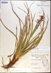 000021184-thumbnail.jpg