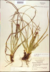 000021185-thumbnail.jpg