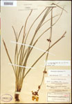 000021186-thumbnail.jpg