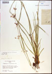 000021187-thumbnail.jpg