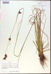 000021188-thumbnail.jpg