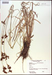 000021189-thumbnail.jpg