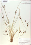 000021190-thumbnail.jpg
