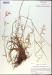 000021191-thumbnail.jpg