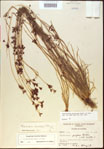 000021192-thumbnail.jpg