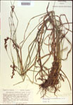 000021193-thumbnail.jpg