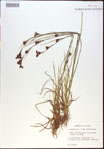 000021194-thumbnail.jpg