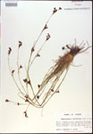 000021195-thumbnail.jpg