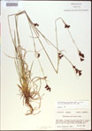 000021196-thumbnail.jpg
