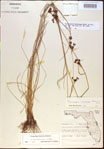 000021197-thumbnail.jpg
