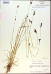 000021198-thumbnail.jpg