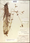 000021199-thumbnail.jpg