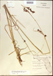 000021200-thumbnail.jpg