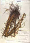 000021201-thumbnail.jpg