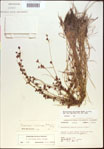 000021203-thumbnail.jpg