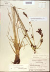 000021204-thumbnail.jpg