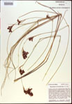 000021205-thumbnail.jpg