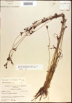 000021206-thumbnail.jpg