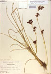 000021207-thumbnail.jpg