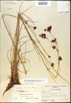 000021208-thumbnail.jpg