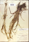 000021209-thumbnail.jpg