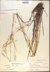 000021210-thumbnail.jpg