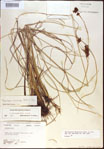 000021211-thumbnail.jpg