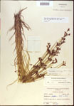 000021212-thumbnail.jpg